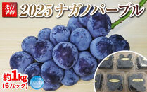 【先行予約】2025　P冷　ナガノパープル　冷凍粒採り6パック　約1キロ　【10月初旬頃～順次発送予定】　長野県産　国際特許有機肥料栽培｜&nbsp;果物&nbsp;ぶどう&nbsp;フルーツ&nbsp;&nbsp;ブドウ&nbsp;高糖度&nbsp;種なし&nbsp;&nbsp;人気&nbsp;おすすめ&nbsp;葡萄&nbsp;ギフト&nbsp;送料無料&nbsp;長野県&nbsp;大町市