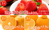 坂出市「旬のフルーツを味わう12回」定期便