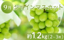 坂出市「旬のフルーツを味わう6回」定期便 【発送月：2月・4月・7月・9月・11月・12月】