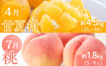 坂出市「旬のフルーツを味わう6回」定期便&nbsp;【発送月：2月・4月・7月・9月・11月・12月】