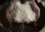 【定期便】【令和7年産】2kg×6ヶ月　厳選こだわり南魚沼産コシヒカリ「こまがた農園のお米」