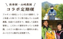 【定期便】有田川町産 人気の柑橘定期便  4か月お届け（12月・1月・2月・3月）完熟アルギットみかん 八朔 不知火 せとか