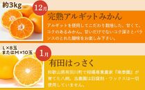 【定期便】有田川町産 人気の柑橘定期便  4か月お届け（12月・1月・2月・3月）完熟アルギットみかん 八朔 不知火 せとか