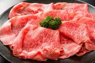 訳あり博多和牛しゃぶしゃぶすき焼き用 5kg(500g×10) 肩ロース肉・肩バラ・モモ肉