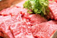 訳あり【A4～A5】博多和牛焼肉切り落とし500g (肩ロース・バラ)