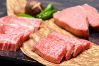 訳あり【A4～A5】博多和牛焼肉切り落とし500g (肩ロース・バラ)