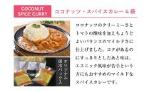 ココナッツ・スパイスカレー4食セット