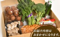 いわき市産　旬の恵お野菜詰め合わせA