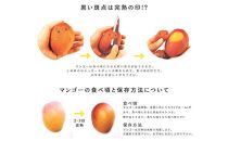 マンゴー 2024年発送【限定】完熟マンゴー 1kg（2～3玉） ご家庭用 おんなの駅（恩納村産）｜フルーツ 果物 くだもの 食品 人気 おすすめ 送料無料 沖縄県 恩納村