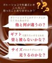 【グルテンフリー】熟成ガトーショコラ65％マイルド　【菓子/ケーキ・ガトーショコラ】