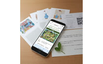 「福祉とつながるデジタルギフト」【鎌倉版】～５００円×６枚～　メッセージカードタイプ（3000円分）