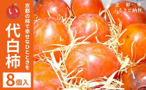 【鳥羽伊三】京都名産 代白柿(だいしろかき)8個入り［ 京都 果物 フルーツ 人気 おすすめ グルメ 秋の味覚 料理 お取り寄せ 通販 送料無料 ふるさと納税 ］