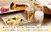 デラウェアスパークリング缶ワイン、ピーチスパークリング缶ワイン10本セット（2種×各5本）