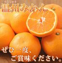 【ご家庭用訳アリ】紀州有田産濃厚完熟温州みかん　5kg【先行予約】【UT13w】