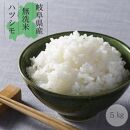 【令和5年産 新米】無洗米 はつしも 5kg 初霜 幻のお米 お米 精米 環境に優しい 大粒 おいしい 米 冷めてもおいしい ふっくら おにぎり 寿司 丼