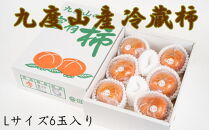 【まごころ栽培】九度山の冷蔵富有柿Lサイズ6玉入り★2025年1月中旬頃より順次発送【TM121】