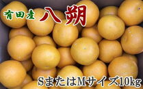 【手選果】有田産の八朔10kg（SまたはMサイズいずれかお届け）★2025年1月下旬頃より順次発送【TM113】