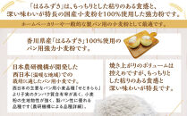 パン用&nbsp;強力小麦粉「はるみずき」1kg×3袋【&nbsp;小麦&nbsp;小麦粉&nbsp;粉&nbsp;パン用&nbsp;強力小麦粉&nbsp;穀物&nbsp;こむぎ&nbsp;こむぎこ&nbsp;人気&nbsp;おすすめ&nbsp;香川県&nbsp;坂出市】