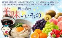 パン用&nbsp;強力小麦粉「はるみずき」1kg×3袋【&nbsp;小麦&nbsp;小麦粉&nbsp;粉&nbsp;パン用&nbsp;強力小麦粉&nbsp;穀物&nbsp;こむぎ&nbsp;こむぎこ&nbsp;人気&nbsp;おすすめ&nbsp;香川県&nbsp;坂出市】