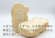 パン用 強力小麦粉「はるみずき」12kg