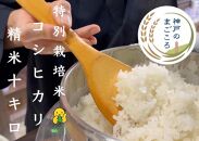 特別栽培米　神戸のまごころ　コシヒカリ 精米　10kg（5kg×2袋）