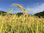 特別栽培米　神戸のまごころ　ヒノヒカリ 精米　10kg（5kg×2袋）