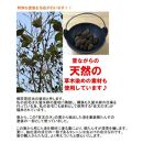 桐たんす３段「桜」着物用　焼桐色系とのこ仕上げ