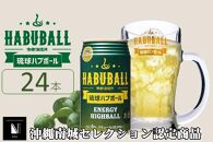 琉球ハブボール 350ml 24缶セット