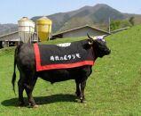 【京都モリタ屋】京都肉サーロインステーキ（約800g）＆京都肉ロースすき焼きセット（約800ｇ）