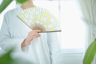 【みのや扇舗】/fan/fun扇子（小サイズ：檸檬）