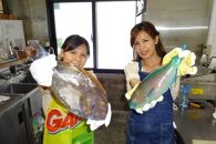 南城市海野漁港の競り体験とお魚調理教室