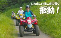 大自然を全身で感じる スリリングなアウトドア体験！ファンライドバギー乗車（大人１名様）