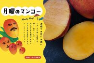 MANGO RICE GELATO＆SHIIQUASA シャーベット 6個セット（2種×各3個）