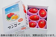 【2024年発送】＜優品＞完熟アップルマンゴー約1.5kg（化粧箱）6玉
