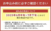 【2025年発送】＜優品＞完熟アップルマンゴー約1.5kg（化粧箱）6玉