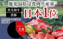 【全3回】鹿児島県産黒毛和牛　満喫定期便　Aセット