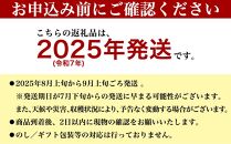 【先行受付】【2025年発送】キーツマンゴー 南城市 約1kg (1～2玉)