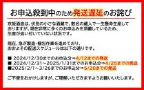 【京姫酒造】「匠」飲み比べ720ml×3本［ 京都 伏見 日本酒 人気 おすすめ 純米大吟醸 大吟醸 純米吟醸 の3本でこの寄付額 刮目せよ 飲み比べ セット お取り寄せ ］ 