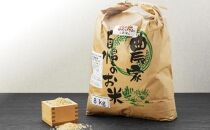 【令和5年産】伊藤農園の特別栽培米ゆめぴりか 玄米（8kg）