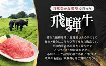 飛騨牛Ａ5 赤身肉 焼肉用 300ｇ モモ 又は カタ 肉 ｜国産 肉 牛肉 焼肉 和牛 黒毛和牛 赤身 グルメ A5等級 おすすめ AD122 【飛騨牛 和牛ブランド 飛騨牛 黒毛和牛 飛騨牛 岐阜 大野町 飛騨牛】