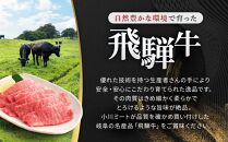 飛騨牛Ａ5 赤身肉 焼肉用 500ｇ モモ 又は カタ 肉 ｜国産 肉 牛肉 焼肉 和牛 黒毛和牛 赤身 グルメ A5等級 おすすめ AD123  【飛騨牛 和牛ブランド 飛騨牛 黒毛和牛 飛騨牛 岐阜 大野町 飛騨牛】