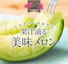 【先行予約】高知県南国市産／メロンといちごセット（2024年2月～発送）【メロン 苺 フルーツ くだもの デザート 高評価 人気 おすすめ】