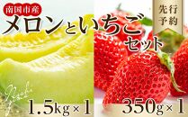 【先行予約】高知県南国市産／メロンといちごセット（2025年2月～発送）【メロン 苺 フルーツ くだもの デザート 高評価 人気 おすすめ】