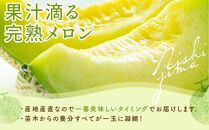 【先行予約】高知県南国市産／メロンといちごセット（2025年2月～発送）【メロン 苺 フルーツ くだもの デザート 高評価 人気 おすすめ】