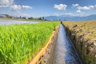 新潟県南魚沼産（塩沢地区）はちみつ米コシヒカリ&nbsp;5kg※蜂蜜発酵液肥料栽培