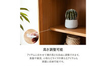 コレクションボード&nbsp;幅60cm&nbsp;本棚&nbsp;CD収納&nbsp;開き戸&nbsp;引出し&nbsp;多目的ボード&nbsp;ナチュラル