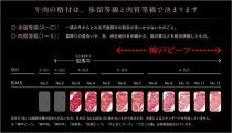 【西村ミートショップ】神戸牛 炙り 焼きしゃぶ 800g