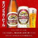 キリンラガービール 500ml×48本　【 お酒 アルコール アルコール飲料 晩酌 家飲み 宅飲み 飲み会 集まり バーベキュー BBQ イベント 飲み物 缶ビール 】