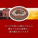 キリンラガービール 500ml×48本　【 お酒 アルコール アルコール飲料 晩酌 家飲み 宅飲み 飲み会 集まり バーベキュー BBQ イベント 飲み物 缶ビール 】