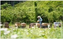 生産者直送　非加熱・花の香り・はちみつ3種詰め合わせ　【 ハニー 日本産 国産 料理 甘味 調理 味付け 砂糖の代わり 塗る つける 混ぜる ヨーグルト パン オーガニック 上品な甘さ 桜の香り コク 】